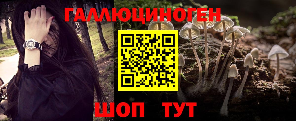 Псилоцибиновые грибы ЛСД  Галлюциногенные грибы Cubensis  Вход с VPN  Сочи 
