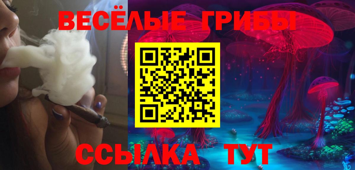 Псилоцибиновые грибы Psilocybine cubensis Сочи